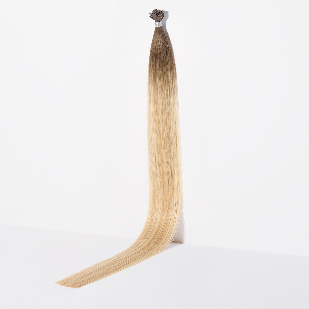 Aspen Blonde / 10